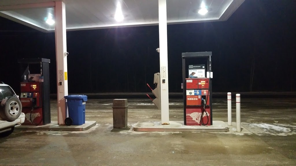 Esso | 7561 ON-35, Norland, ON K0M 2L0, Canada | Phone: (705) 454-2015