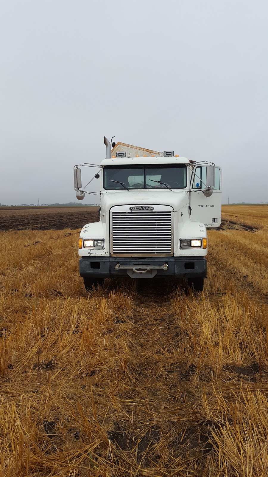 WJ Siemens Farming (Reinfeld Yard) | Stanley, MB R0G 1R0, Canada | Phone: (204) 324-6023