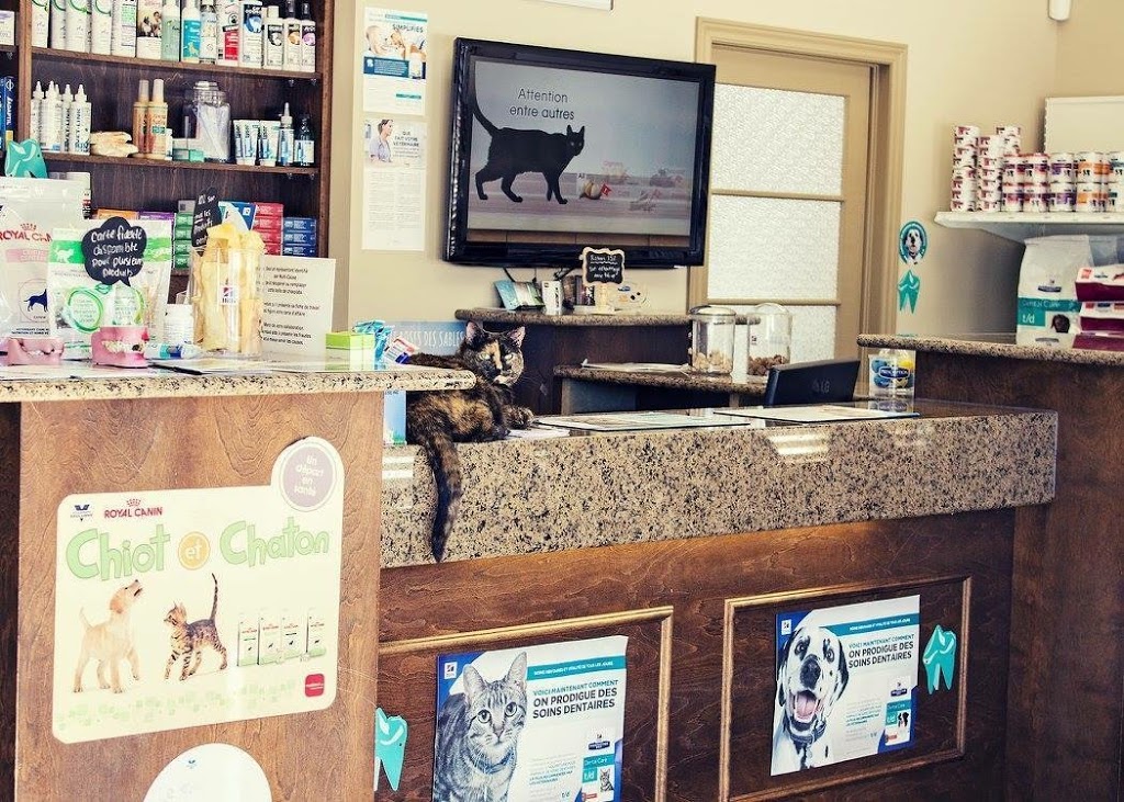 Clinique Veterinaire Cntrcr | 4850 Rue des Ormes, Contrecoeur, QC J0L 1C0, Canada | Phone: (450) 587-5600