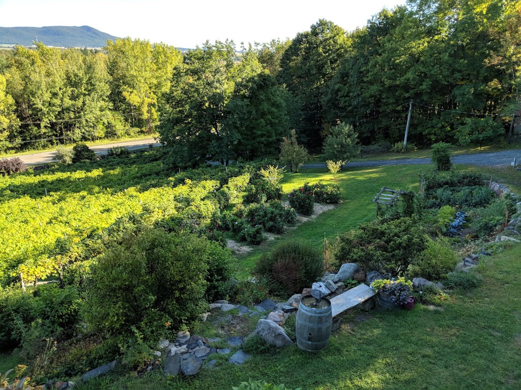 Vignoble Les Murmures | 2750 Rue Noiseux, Saint-Jean-Baptiste, QC J0L 2B0, Canada | Phone: (450) 467-1730