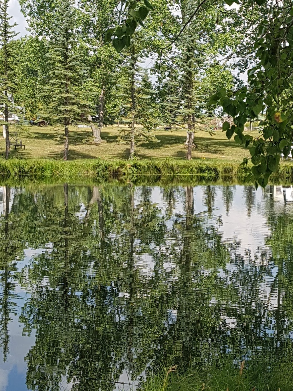 Rolling Hills Country Resort Bed and Breakfast | Rural route 22-2, off highway 27 east, AB, Three Hills, AB T0M 2A0, Canada | Phone: (403) 425-0300