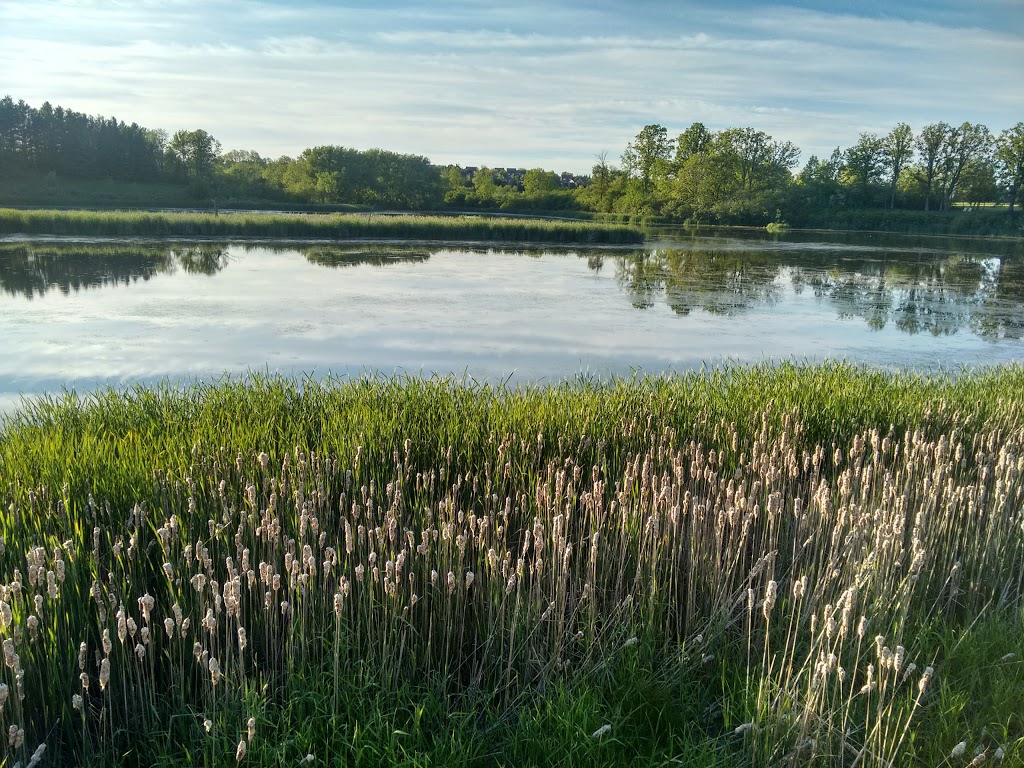 McKenzie Wetland | 138-186 St Johns Sideroad, Aurora, ON L4G 6T6, Canada