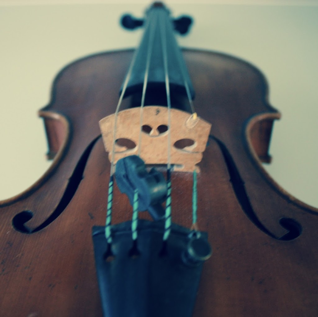 LD Violin Studio | 13500 229 Loop, Maple Ridge, BC V4R 0E5, Canada | Phone: (604) 999-1441