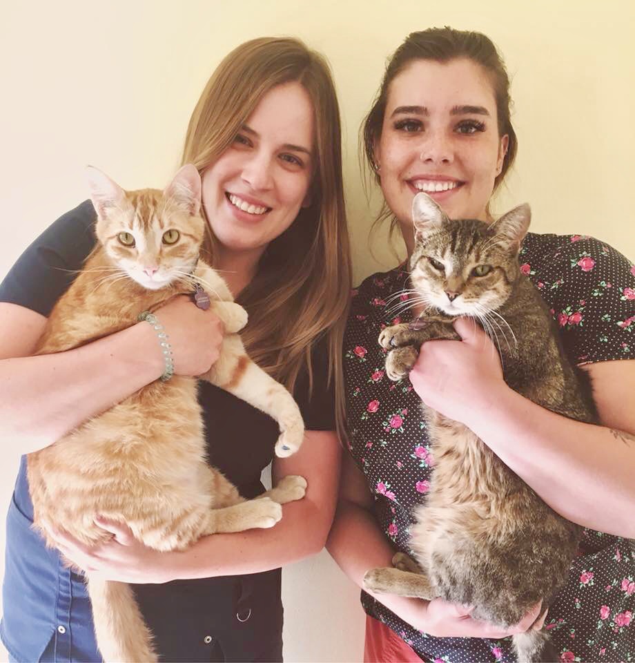 Hastings Lake Animal Hospital | #1 20332, Township Rd 512, Sherwood Park, AB T8G 1E8, Canada | Phone: (780) 662-2227