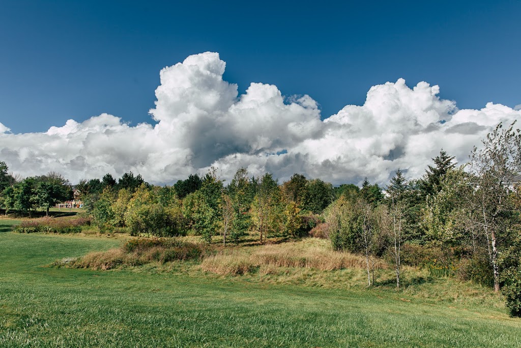 Red River Park | Waterloo, ON N2T, Canada | Phone: (519) 886-2310