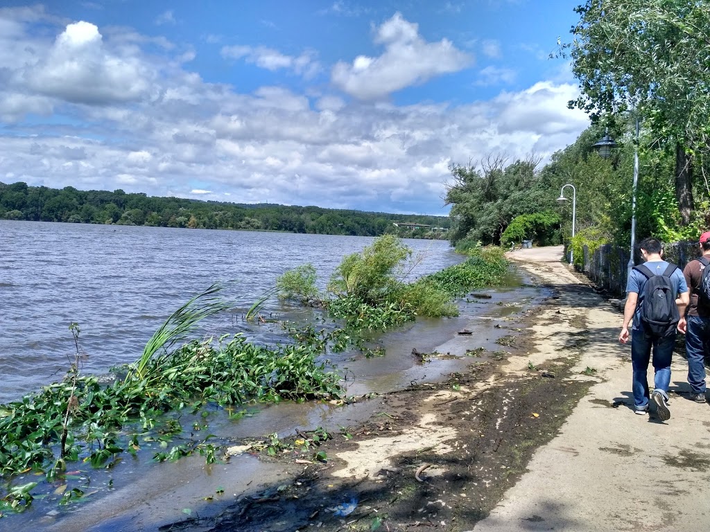 Waterfront Trail Lookout Point | Harbour Dr, Hamilton, ON, Canada | Phone: (416) 943-8080