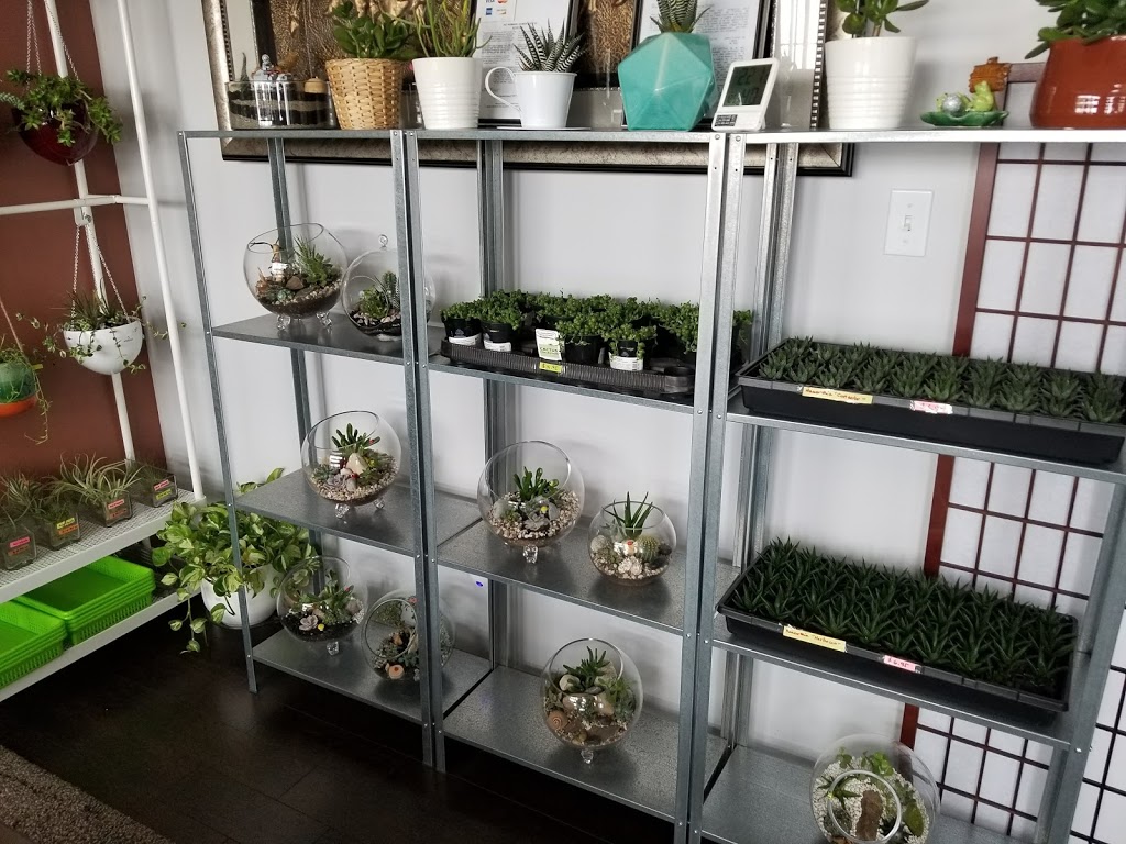Gems Plant Design | 445 Rougeau Ave, Winnipeg, MB R2C 2Z6, Canada | Phone: (204) 227-2560