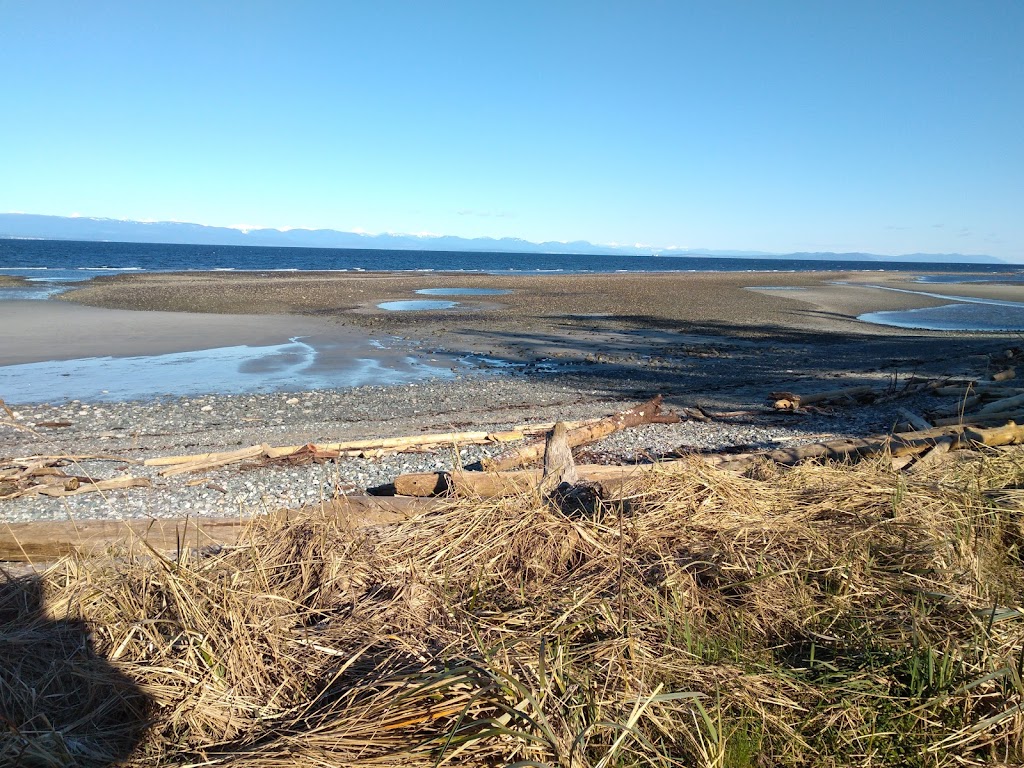 The Alders Beach Resort | 179 Williams Beach Rd, Merville, BC V0R 2M0, Canada | Phone: (250) 337-5322