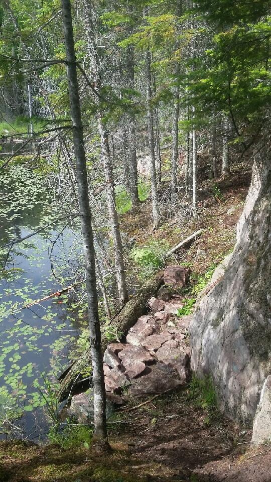 Happy Trails Construction | 2783 Contau Lake Rd, Gooderham, ON K0M 1R0, Canada | Phone: (705) 455-2980