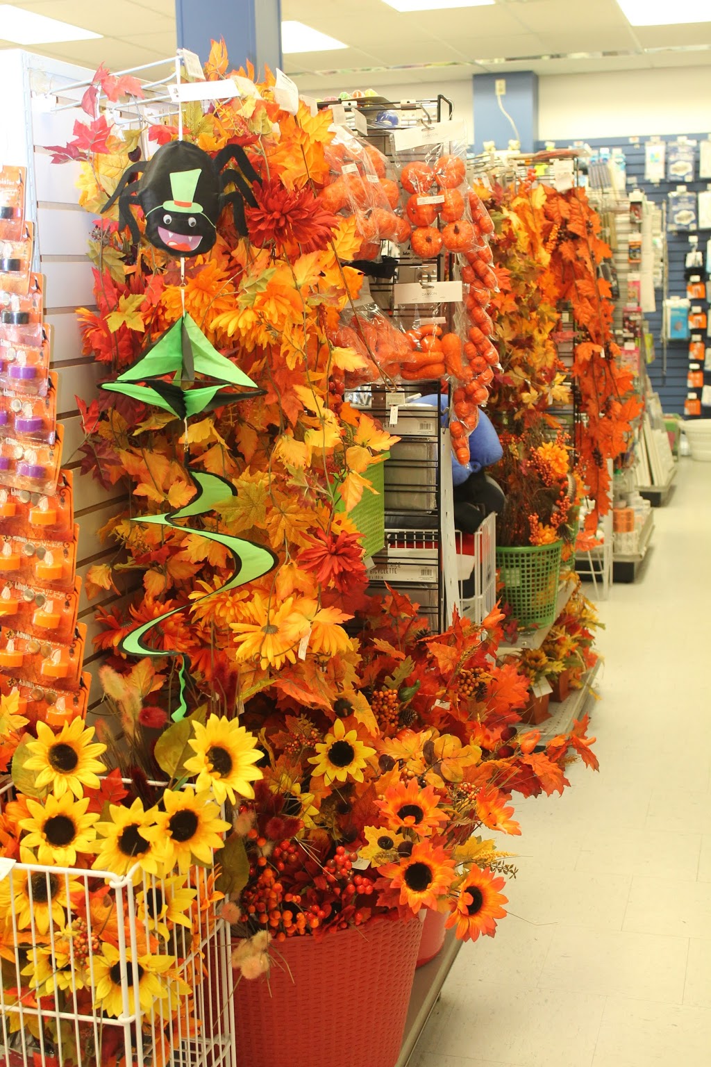 A Buck or Two | 302-A Guelph St, Georgetown, ON L7G 4B2, Canada | Phone: (905) 873-7200