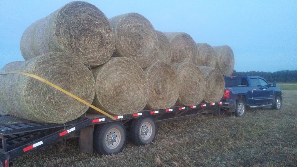 EIEIO Farm and Greenhouses | 503 Cornwall Rd, Blockhouse, NS B0J 1E0, Canada | Phone: (902) 624-9636