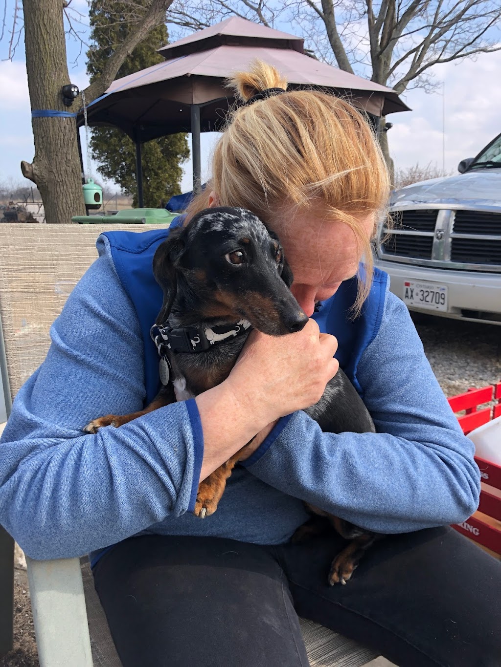 Doc Pawsitive Professional Pet Care Services | 264 ON-5, Dundas, ON L9H 5E2, Canada | Phone: (905) 630-2029