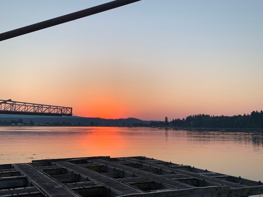 Odyssey Shellfish | 7400 Island Hwy W, Bowser, BC V0R 1G0, Canada | Phone: (250) 757-9304