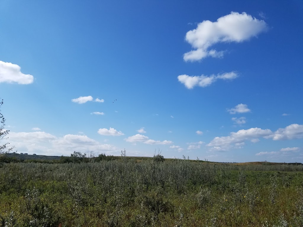 Dog Park | Southeast Calgary, Calgary, AB T0L 0X0, Canada