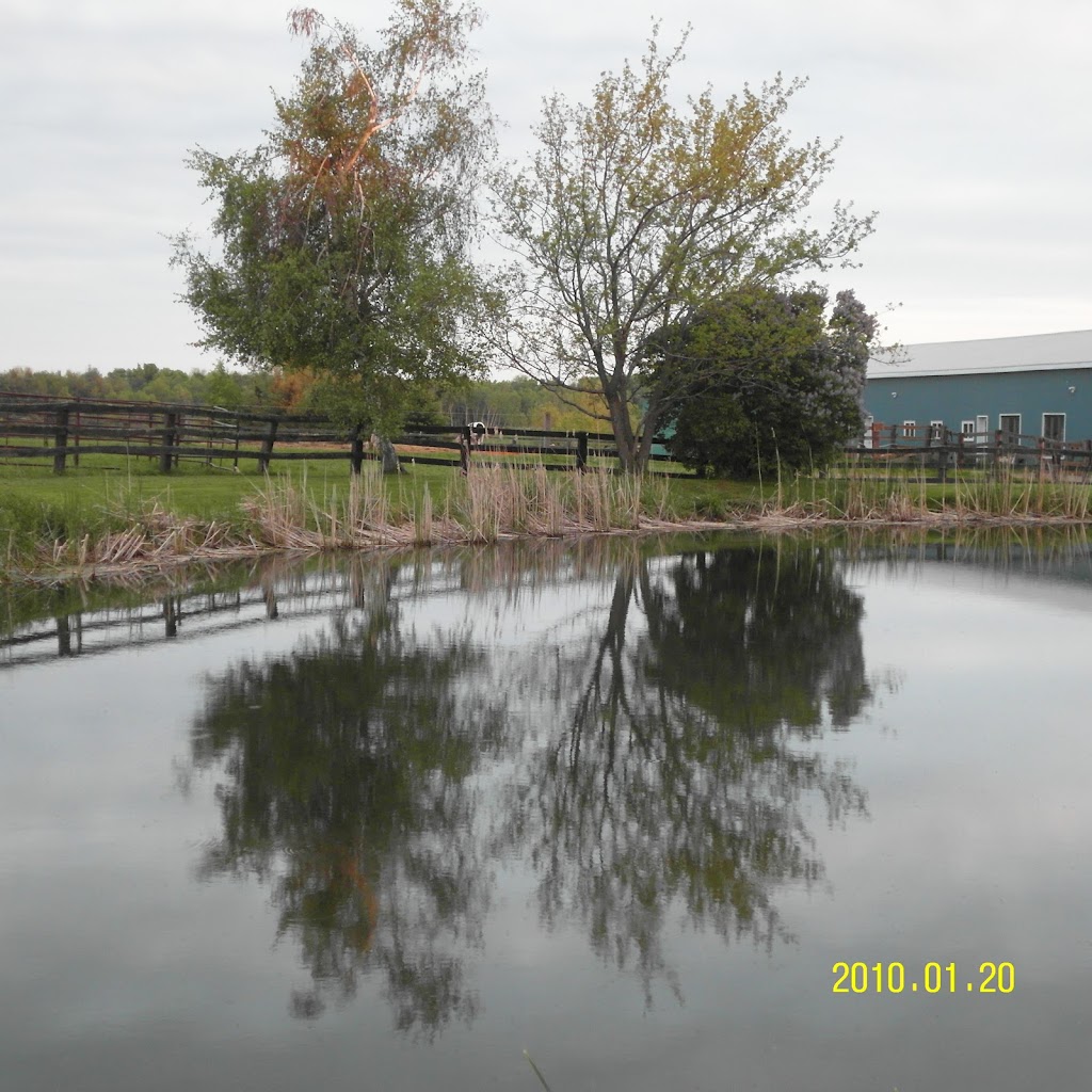 Blue Heron Equestrian | 1880 Concession 4 W, Troy, ON L0R 2B0, Canada | Phone: (905) 717-5027
