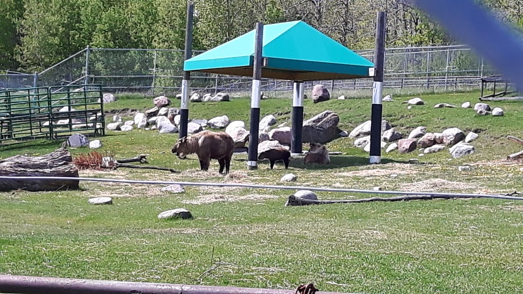 Edmonton Valley Zoo | 13315 Buena Vista Road & 87th Avenue, Edmonton, AB T5J 2R7, Canada | Phone: (780) 442-5311