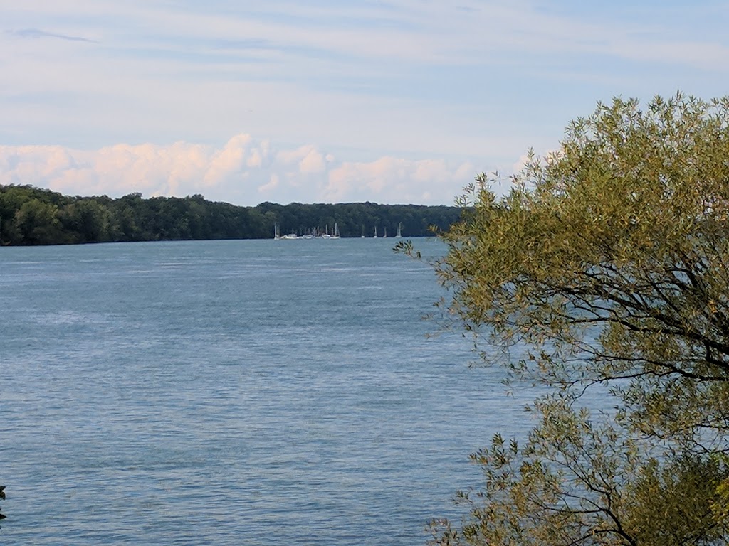 Joseph Davis State Park | Youngstown, NY 14174, USA | Phone: (716) 754-8213