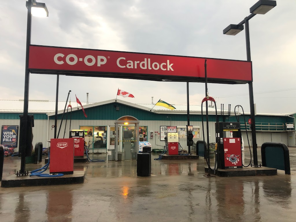 Co-op Home & Agro Centre | 223 1 Ave NE, Ituna, SK S0A 1N0, Canada | Phone: (306) 795-2441
