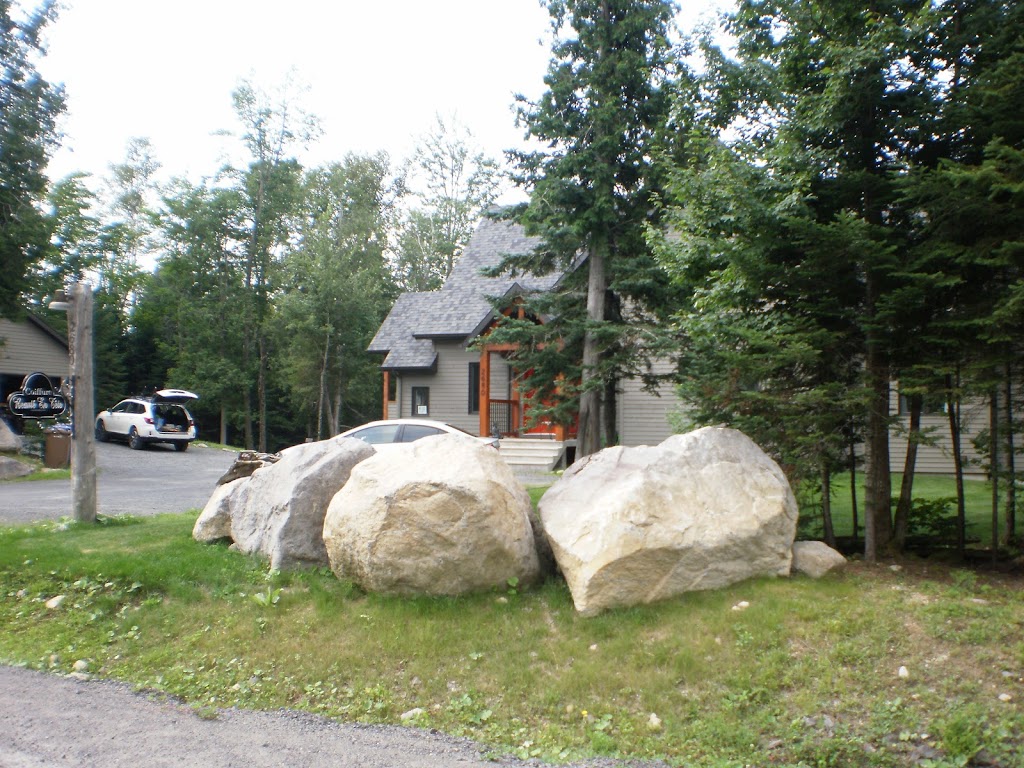 Projet domiciliaire Mont Baldy | 2530 CH Mont Sauvage, Sainte-Adèle, QC J8B 2E3, Canada | Phone: (450) 602-6719