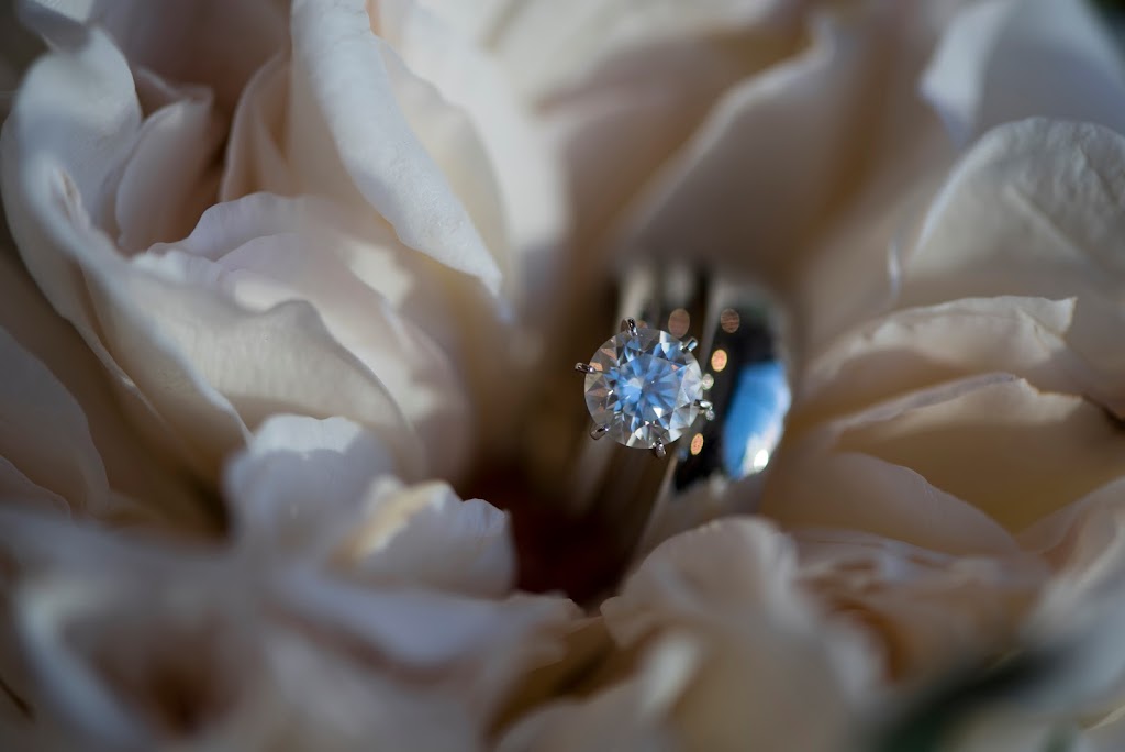 Bishop & Lind Photography | 10226 Gray Rd, Rosedale, BC V0X 1X1, Canada | Phone: (778) 558-5944