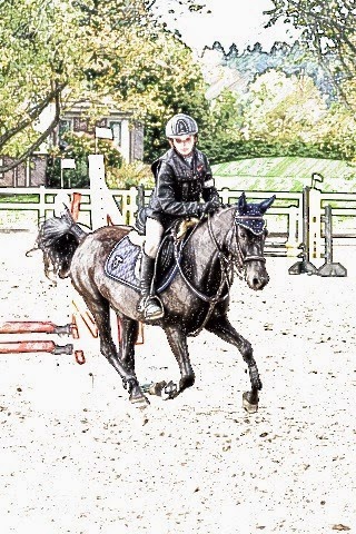Springfield Stables Riding Academy | 7143 Ashburn Rd, Whitby, ON L1M 1L6, Canada | Phone: (905) 655-4280