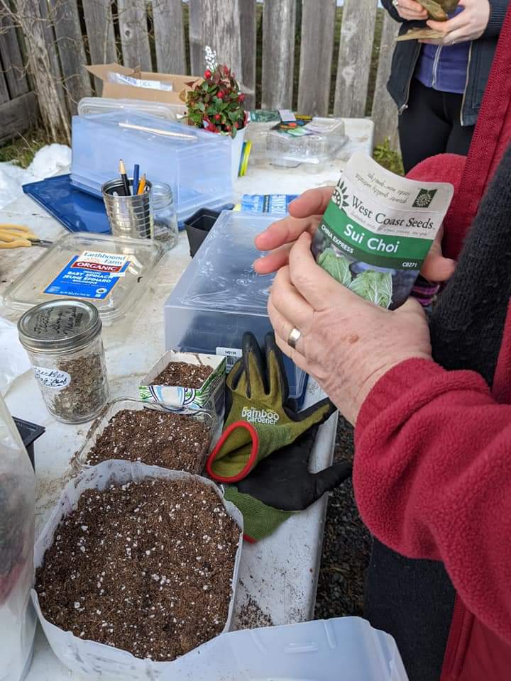 Gardens on the Go | 238 Kenmuir Rd, Qualicum Beach, BC V9K 2A2, Canada | Phone: (250) 240-0281