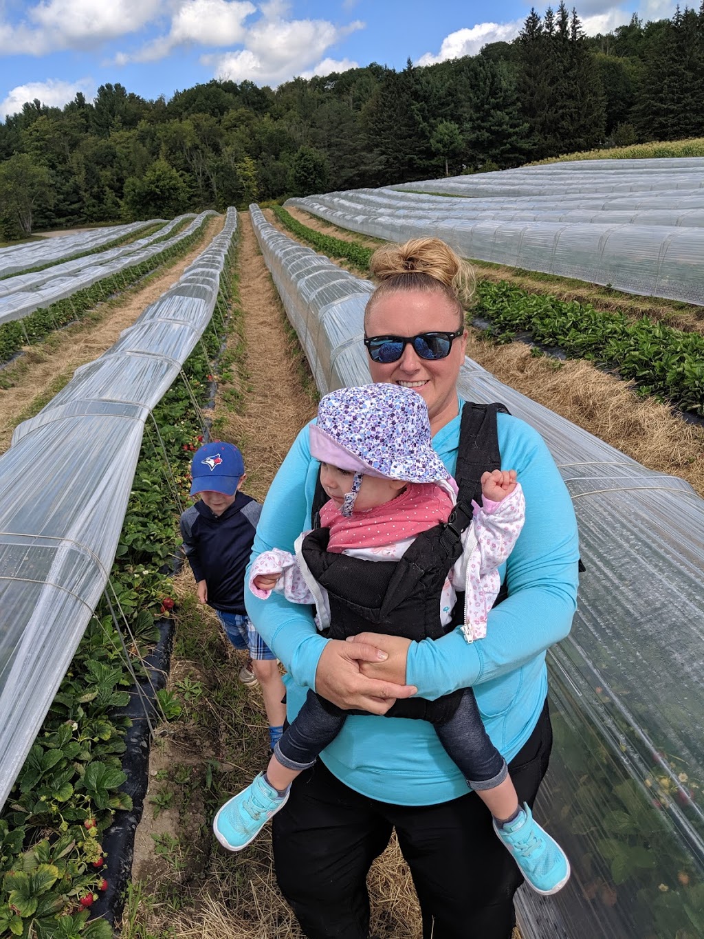 Taylor Strawberry Farm | 1490 Dee Bank Rd, Windermere, ON P0B 1P0, Canada | Phone: (705) 769-2368