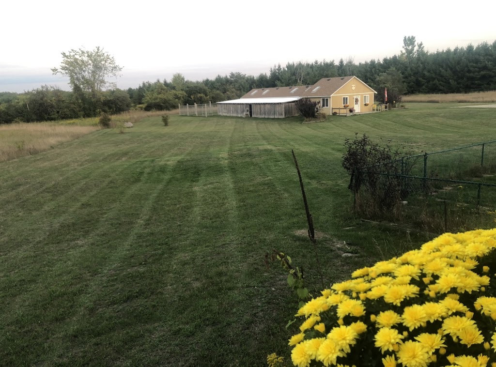 M&M Country Pet Resort | 996637 Mulmur Tosorontio Townline, Mansfield, ON L0N 1M0, Canada | Phone: (705) 435-2928