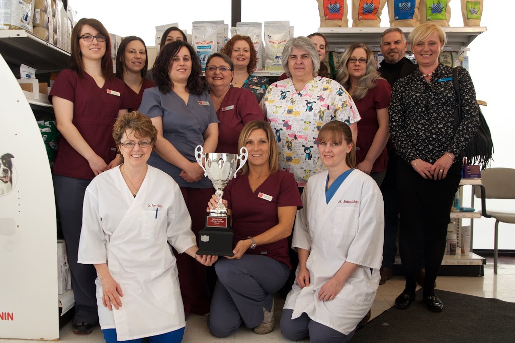 Town Centre Veterinary Hospital | 1502 Lakewood Rd W Northwest, Edmonton, AB T6K 3J4, Canada | Phone: (780) 496-9065