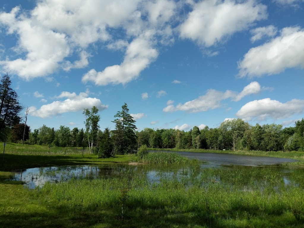 Centennial Park | 2870 7th Line, Innisfil, ON L9S 4H6, Canada | Phone: (705) 436-3710