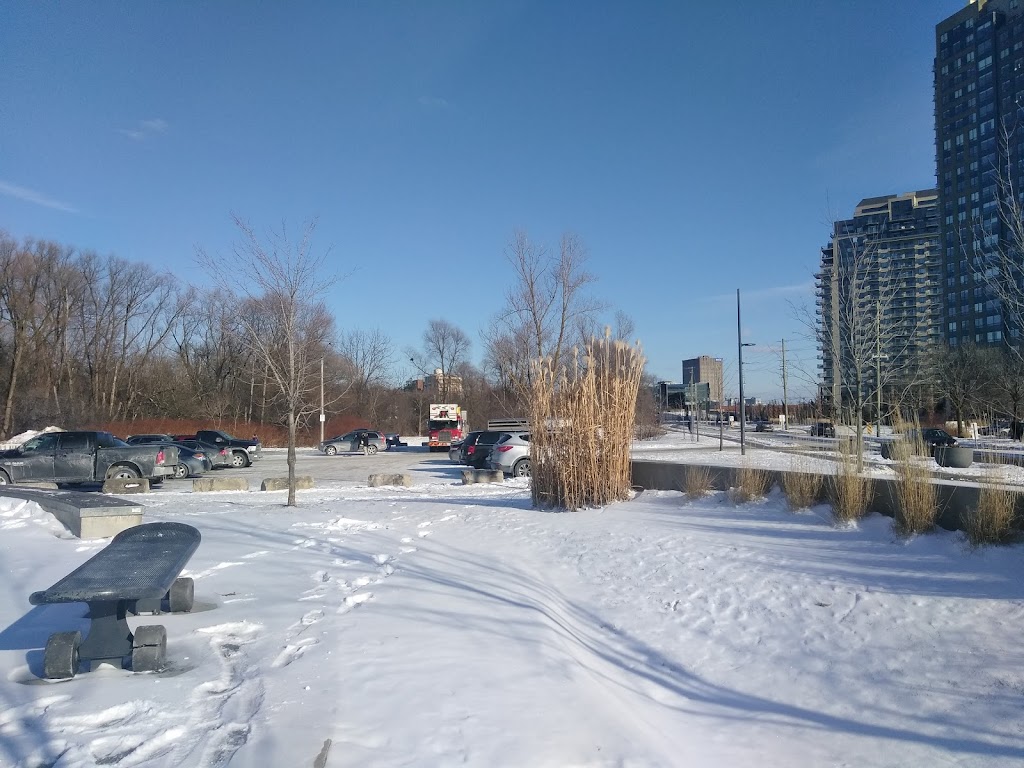 Waterloo Skatepark | 100 Father David Bauer Dr, Waterloo, ON N2J 4A8, Canada | Phone: (519) 886-1177