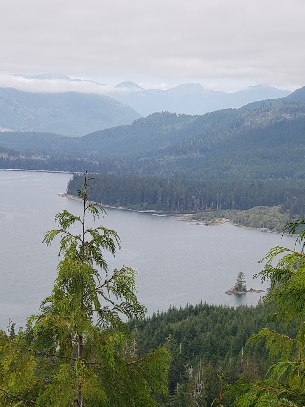 Carmanah Walbran Provincial Park | British Columbia V0S 1K0, Canada | Phone: (877) 559-2115