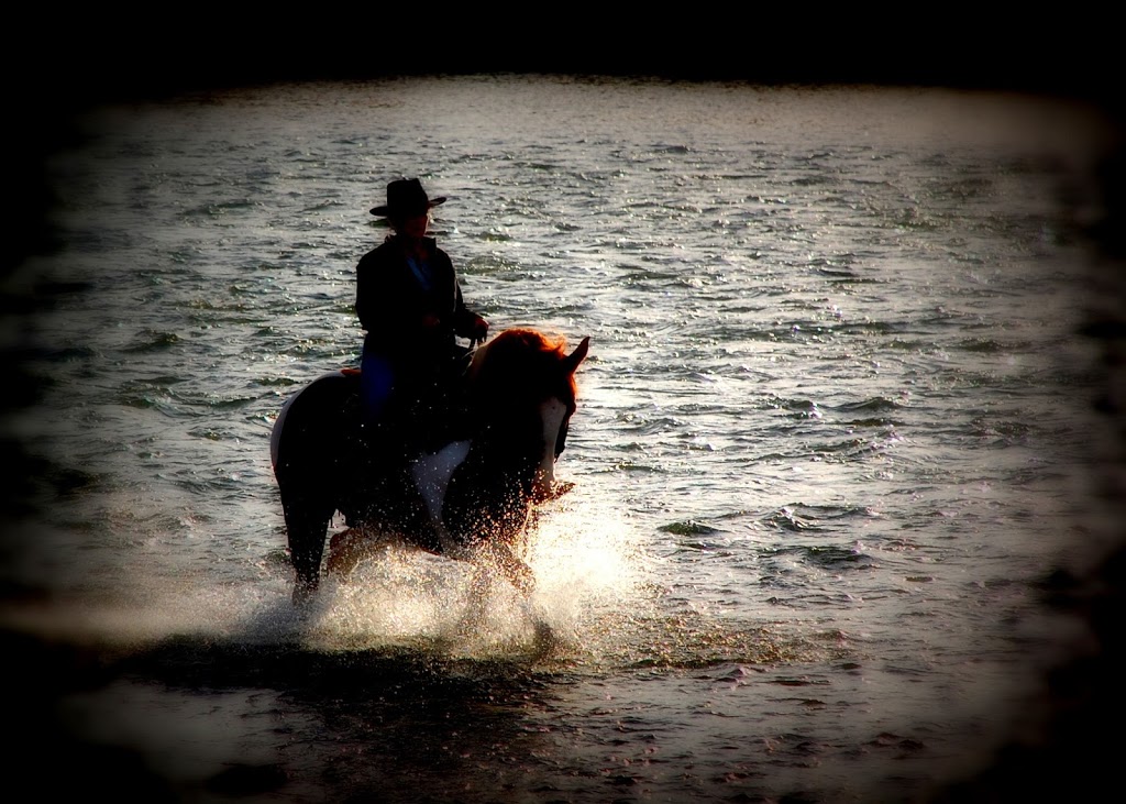 Two Minds - One Ride Horsemanship | 2058 Landry St, Clarence Creek, ON K0A 1N0, Canada | Phone: (819) 712-3565