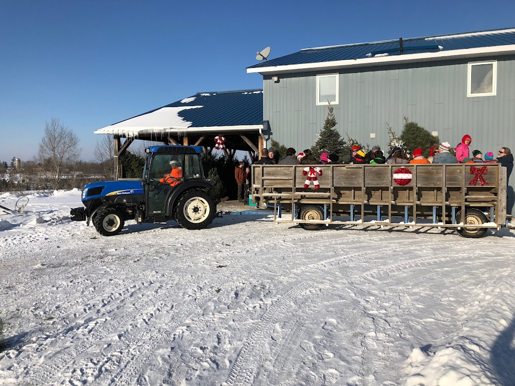 Huglis Blueberry Ranch, Country Market & Play Park | 2139 Greenwood Rd, Pembroke, ON K8A 6W2, Canada | Phone: (613) 638-1288