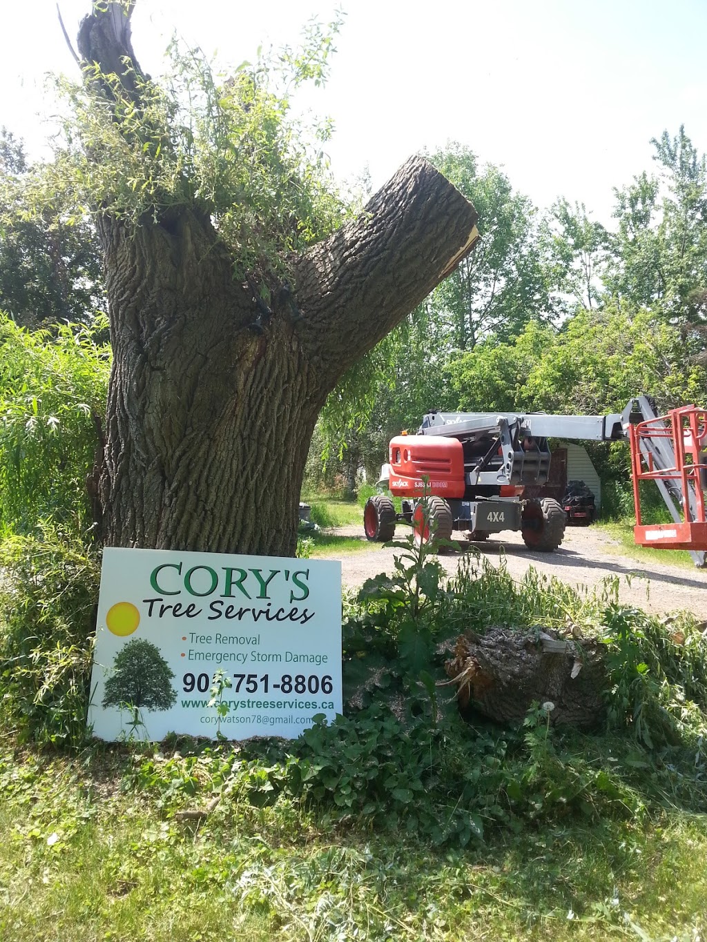 Cory’s tree services | 2 George St, Cookstown, ON L0L 1L0, Canada | Phone: (905) 751-8806