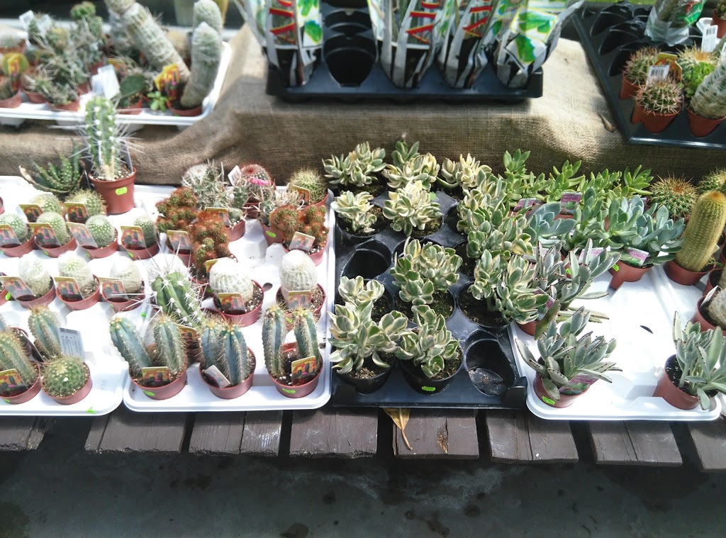 Mississauga Greenhouses Ltd. | 3225 Winston Churchill Blvd, Mississauga, ON L5L 2W1, Canada | Phone: (905) 820-9789