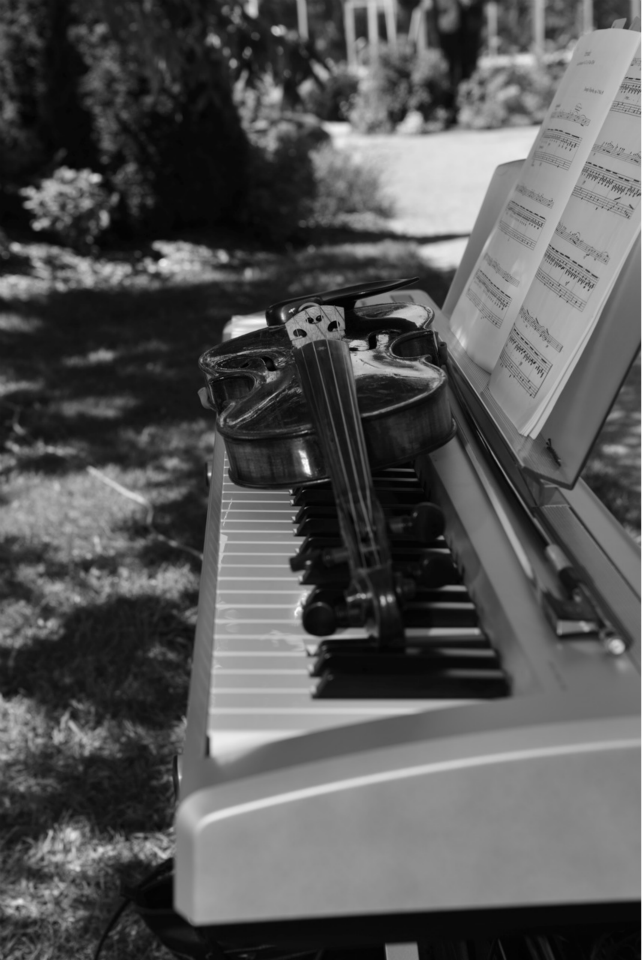 Pianiste Priscille Bilodeau cours de piano et chant - Musique d | 119 Rue Cleveland, Kingsey Falls, QC J0A 1B0, Canada | Phone: (819) 806-0078