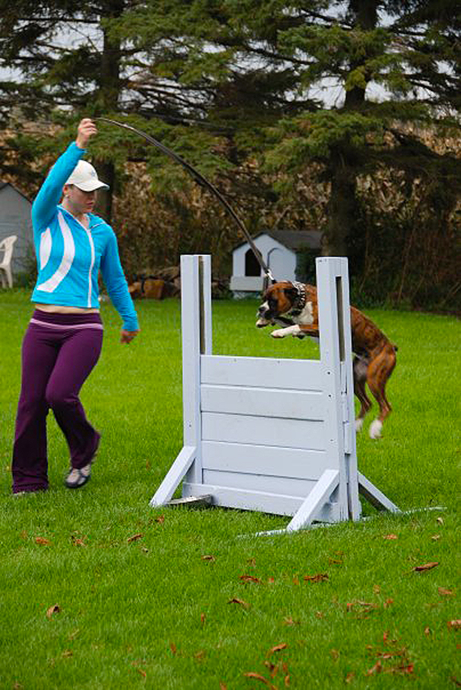 Toronto K9 Center | 713 Krosno Blvd Unit #4, Pickering, ON L1W 1G4, Canada | Phone: (905) 914-5534