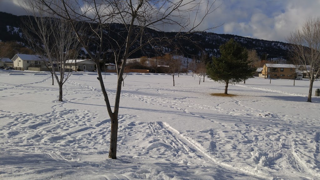 Centennial Park | 1350 Government Ave, Merritt, BC V1K 1K6, Canada | Phone: (250) 378-4224