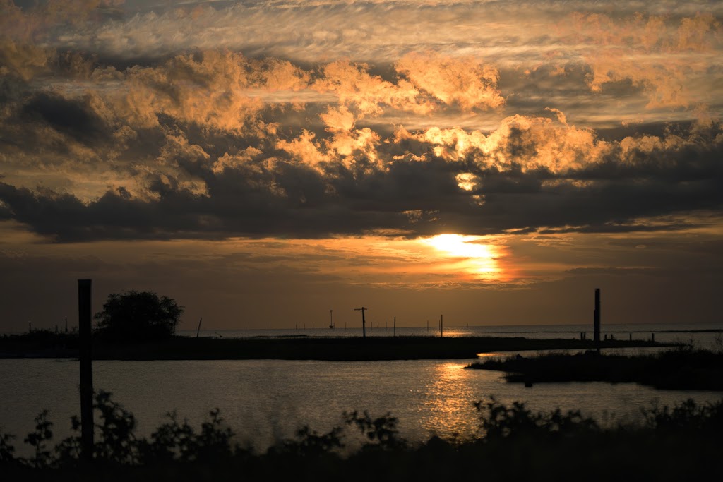 Garry Point - Scotch Pond | Steveston, Richmond, BC, Canada