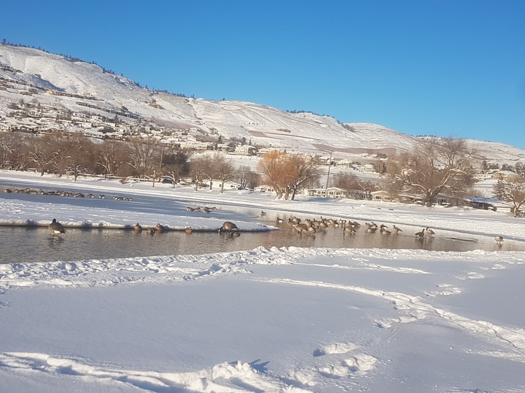 Sandy Beach Campground | 6900 Tronson Rd, Vernon, BC V1H 1X6, Canada | Phone: (250) 308-4633