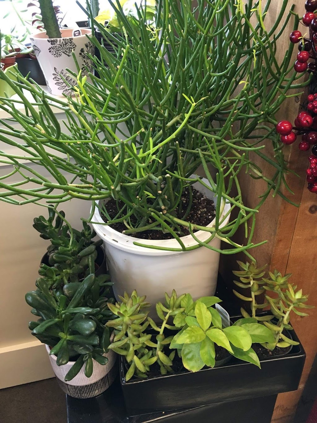 Beyond the House | 144 Craig St, Russell, ON K4R 1A1, Canada | Phone: (613) 445-5214