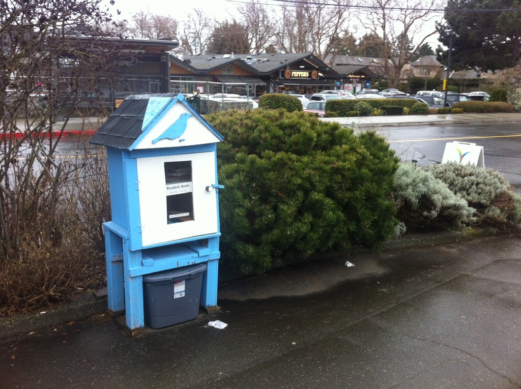 Little Free Library | 3840 Cadboro Bay Rd, Victoria, BC V8N 4G2, Canada