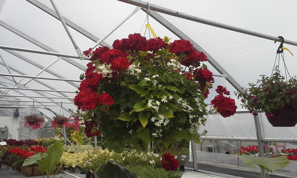Les fleurs de lîle | 2250 Chemin Royal, Sainte-Famille, QC G0A 3P0, Canada | Phone: (418) 829-0344