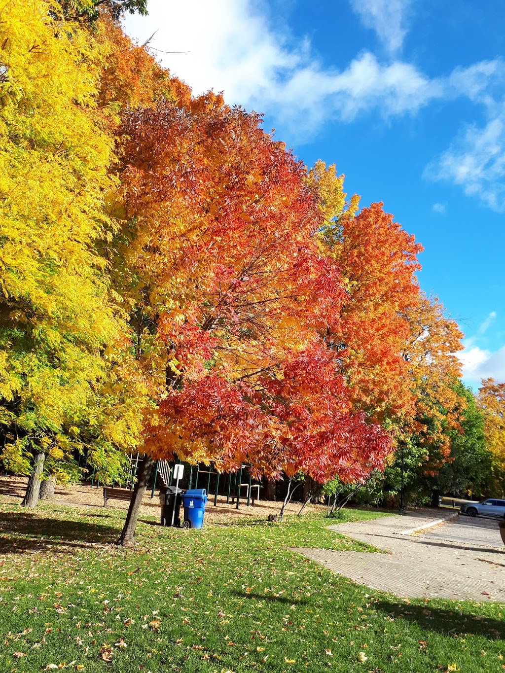 Banbury Tennis Club | 120 Banbury Rd, North York, ON M3B 2L3, Canada | Phone: (416) 443-0941