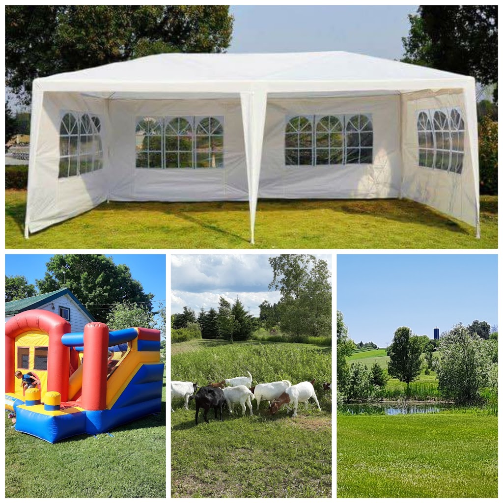 Leaning Stable Acres | 6417 Holt Rd, Hampton, ON L0B 1J0, Canada | Phone: (289) 943-1175