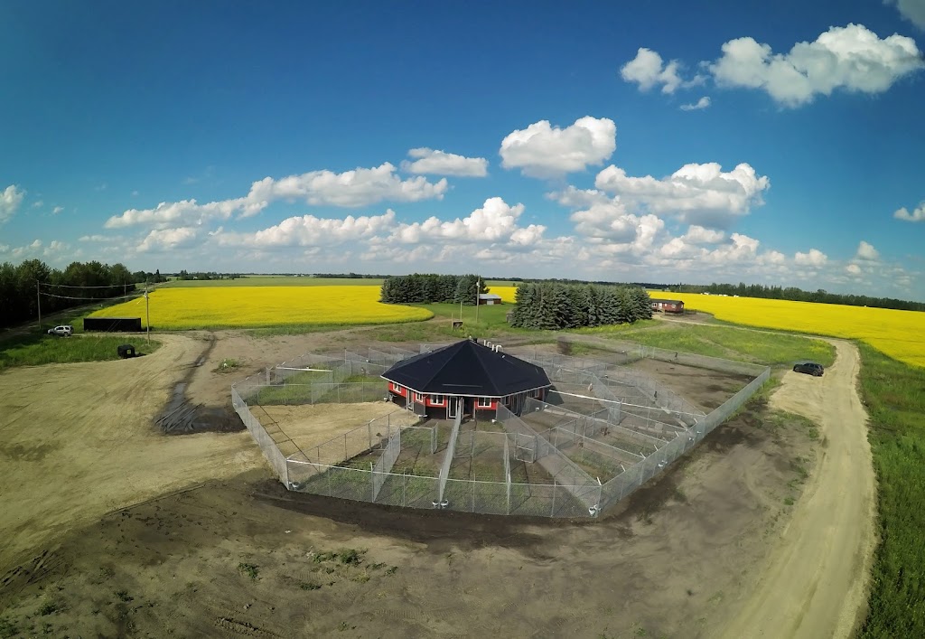 780 Kennels | 51227 Range Rd 280, Alberta T7Y 3H6, Canada | Phone: (780) 887-8805