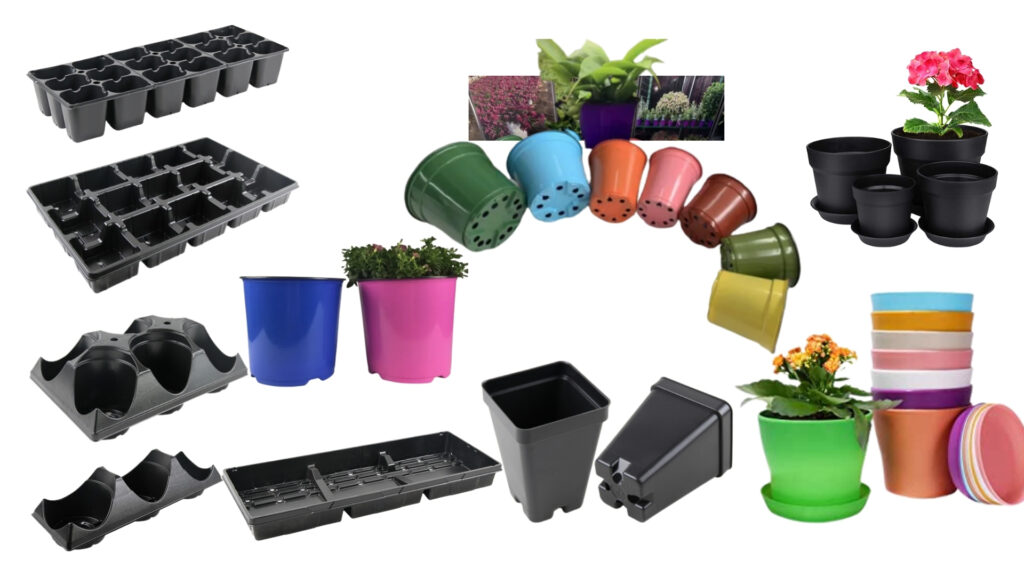 Enerhouse | 6 Sterling St, St. Catharines, ON L2S 3T1, Canada | Phone: (647) 928-5157