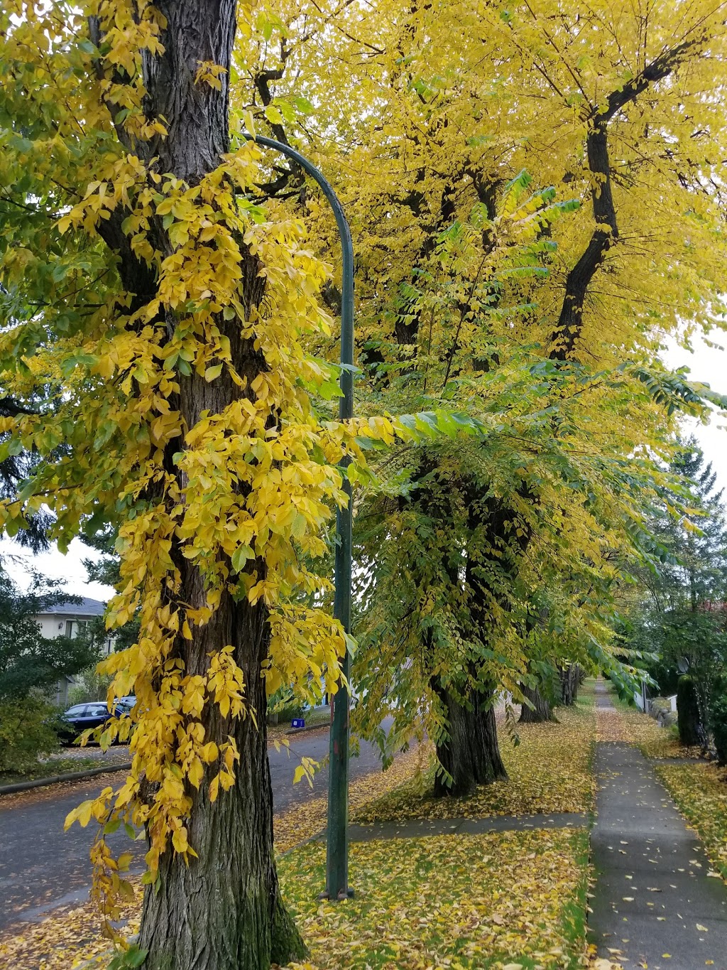 Knox United Church | 5600 Balaclava St, Vancouver, BC V6N 1L1, Canada | Phone: (604) 261-3747