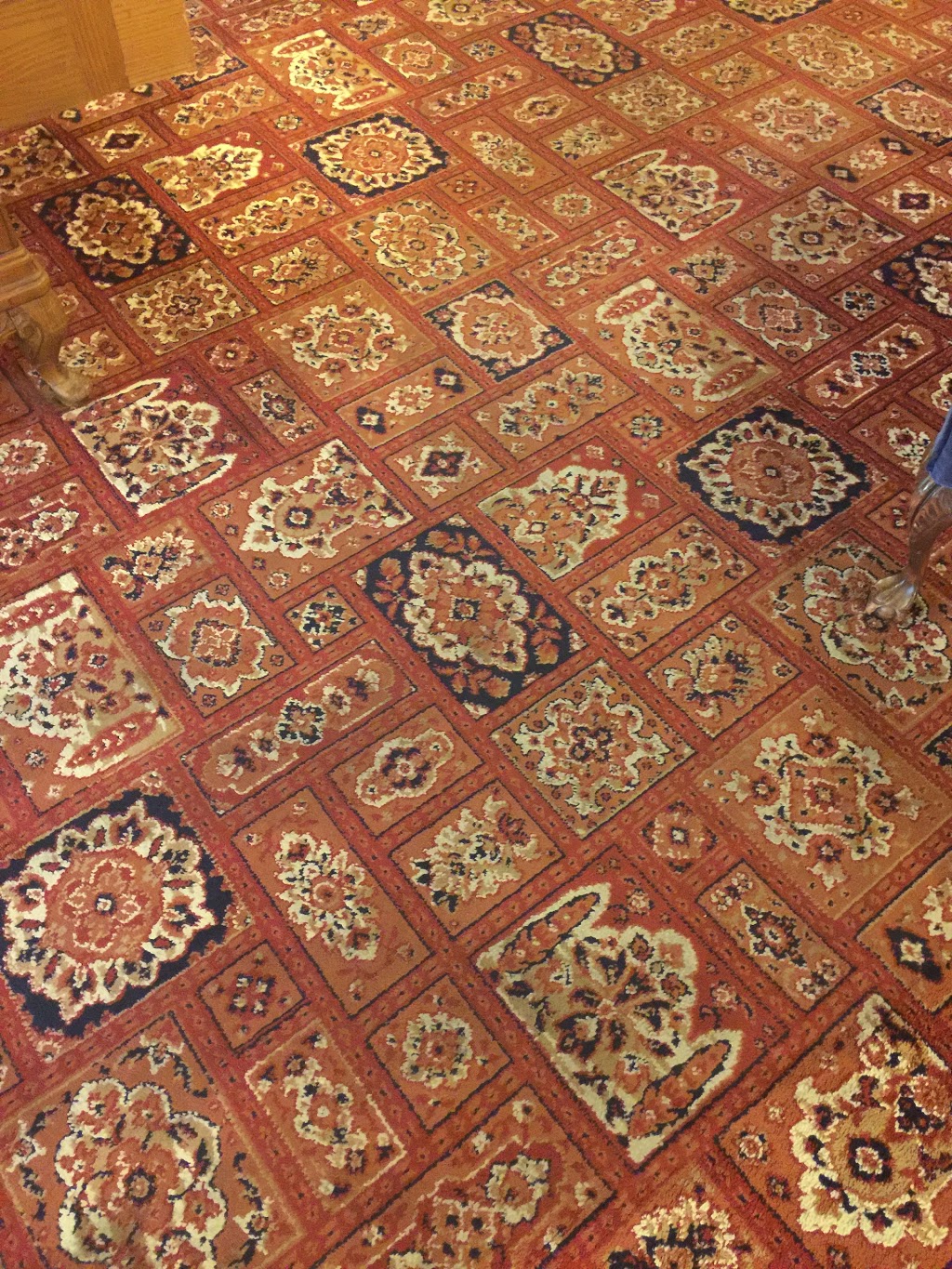 Citrus-O Carpet Care | 3955 Quadra St, Victoria, BC V8X 1J7, Canada | Phone: (250) 891-5448